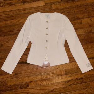 Aritzia Regal Blazer